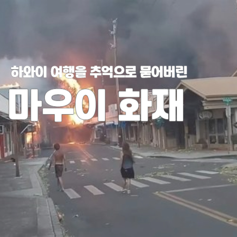  하와이 여행을 추억으로 묻어 버린 마우이 화재