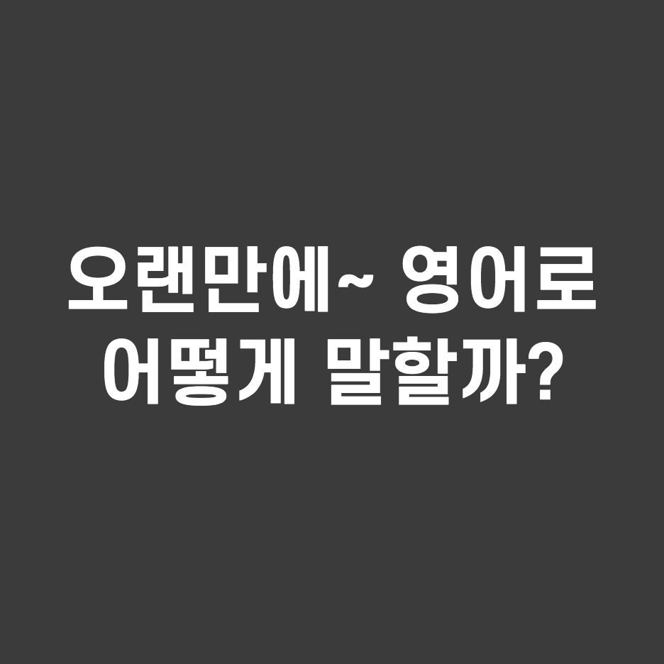  '오랜만에 친구를 만났어' 영어로 어떻게 말할까?