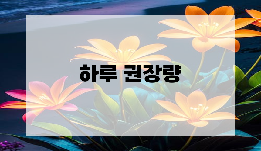 하루 권장량