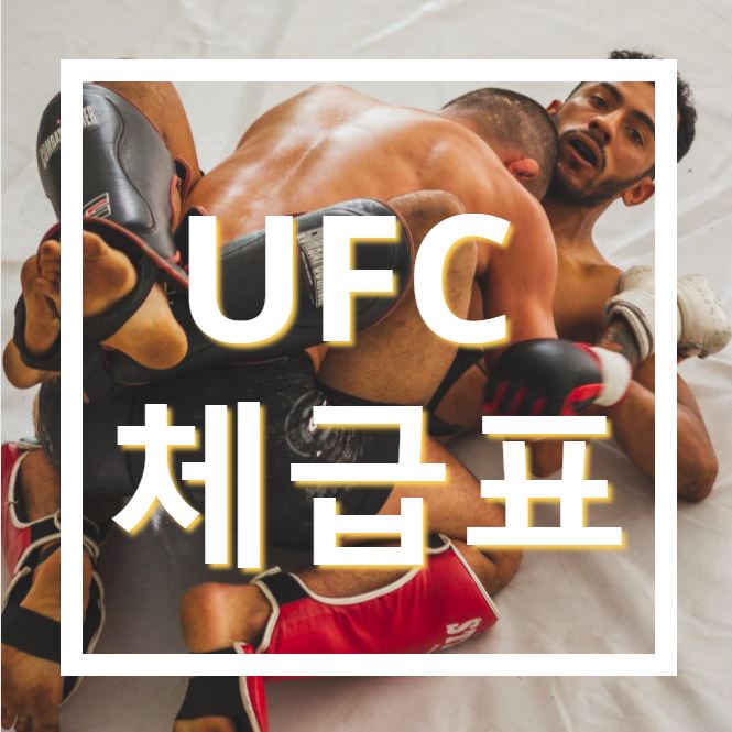  UFC 체급표와 체급별 챔피언