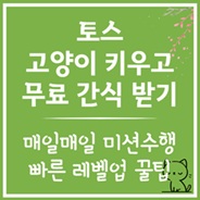 토스 고양이 키우고 간식받기