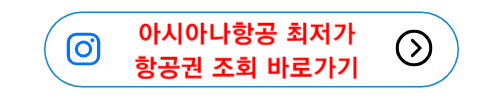 아시아나항공 최저가 항공권 조회 바로가기