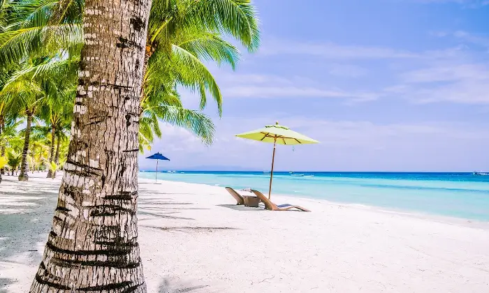 팡라오 섬 Panglao Island (source: www.vacationhive.com)