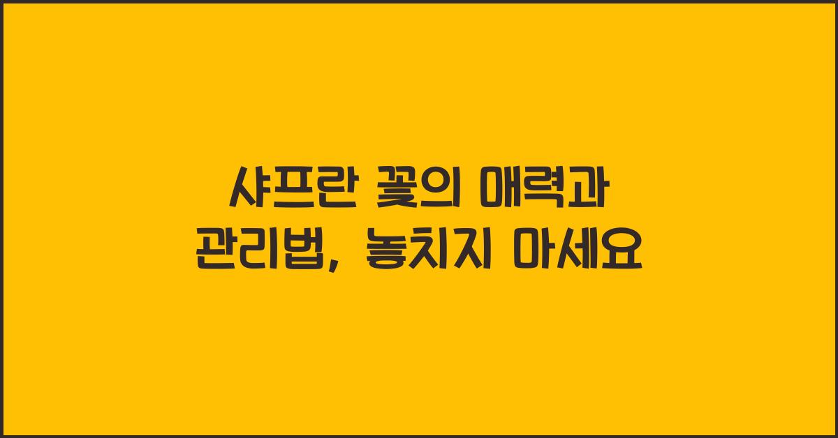 샤프란 꽃의 매력과 관리법