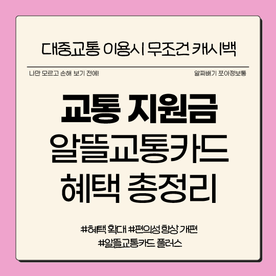 대중교통 요금 교통 보조금 정부 보조금 교통 카드의 저렴한 캐쉬백 혜택