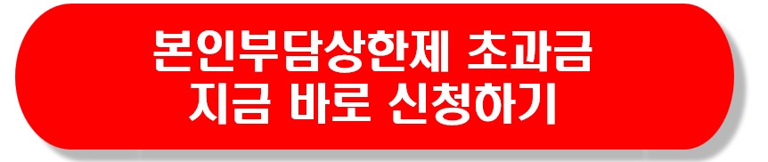 본인부담상한액_초과금_신청하기