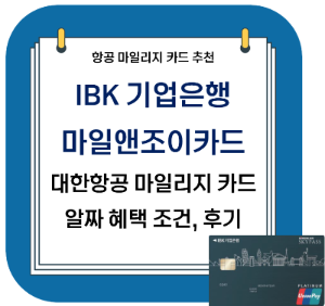 항공 마일리지 적립 신용카드 마일앤조이카드 대한항공 스카이패스 마일리지 공항 라운지 카드 혜택 후기