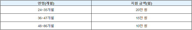 연령별 지원표