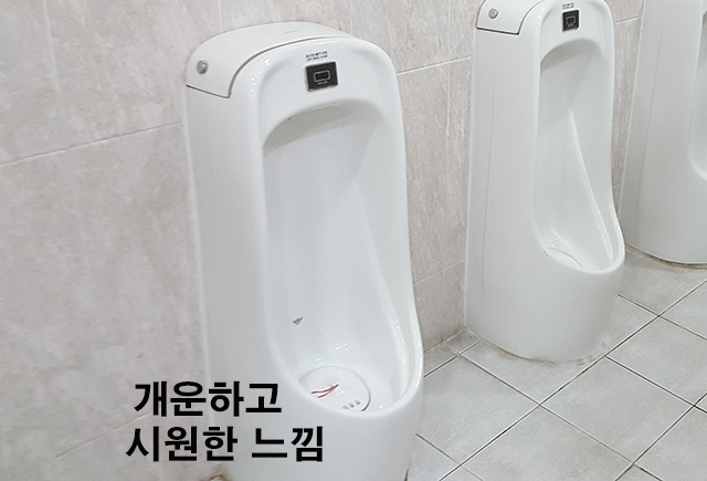전립선 영양제 쏘팔메토 효능 부작용