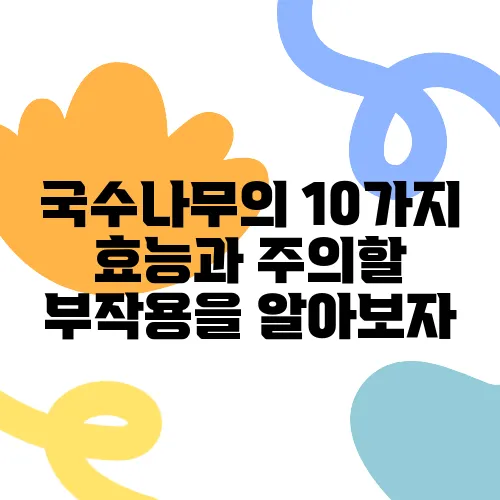 국수나무의 10가지 효능과 주의할 부작용을 알아보자