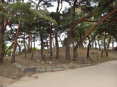 입구 묘 사진