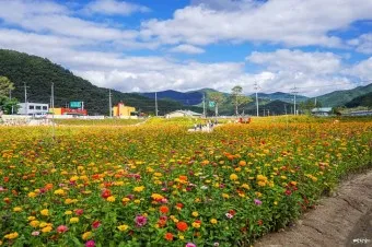 청송 가볼만한곳 베스트10 현지인 추천 필수코스_8