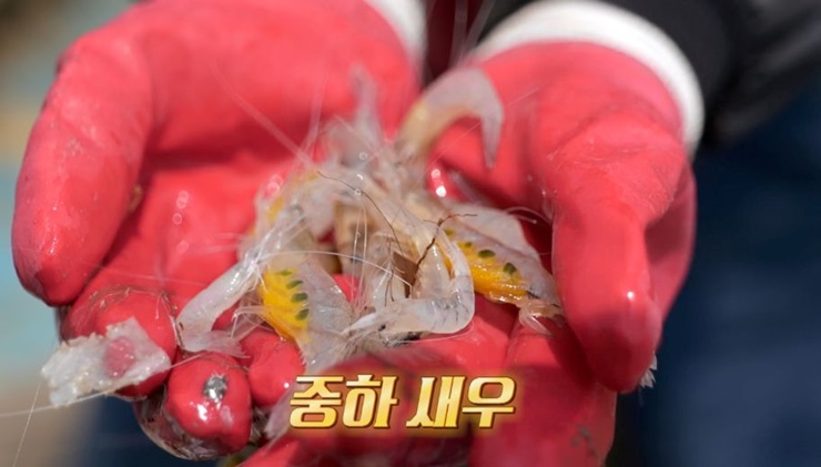 한강어부