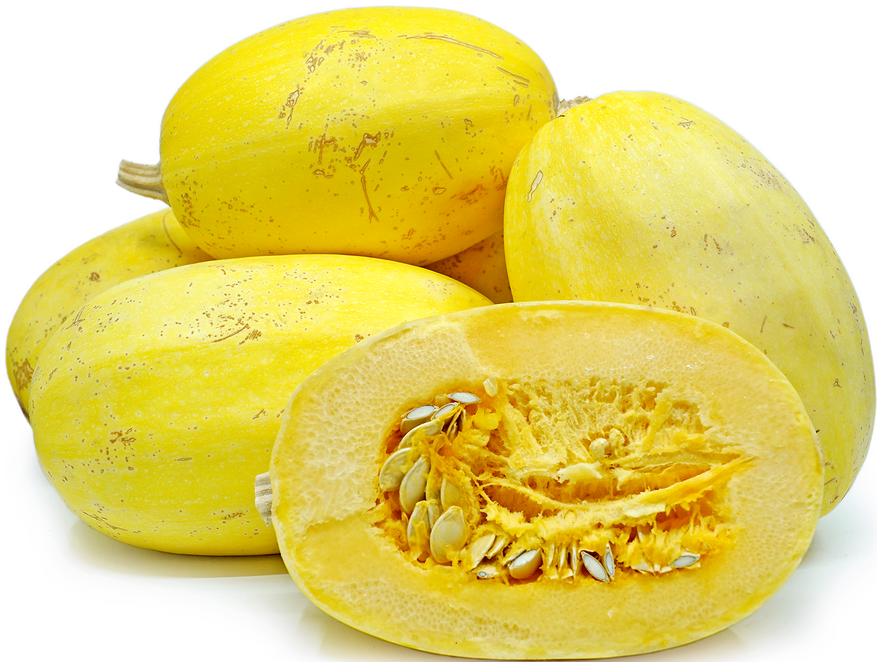  스파게티 스쿼시 Spaghetti Squash 에 대해서 알아볼게요.