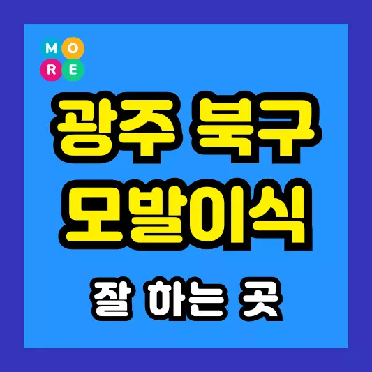 광주 북구 모발이식 비용 저렴하고 잘 하는 전문병원 TOP 3곳 추천 절개, 비절개