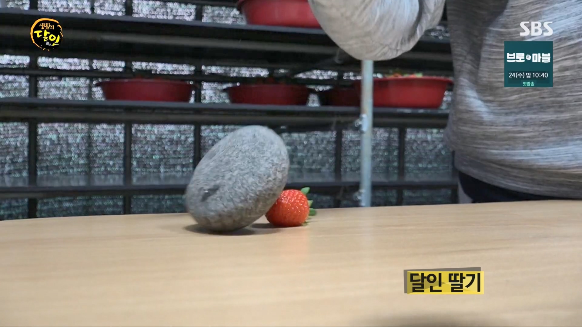 생활의 달인.E920.240122p.H264-F1RST.mp4_20240123_192937.903.jpg