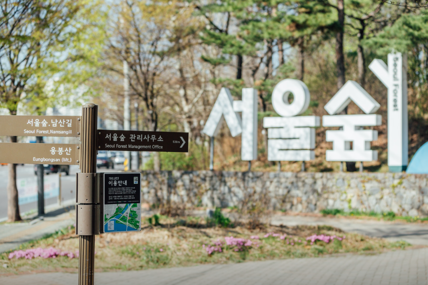 서울숲 업체등록