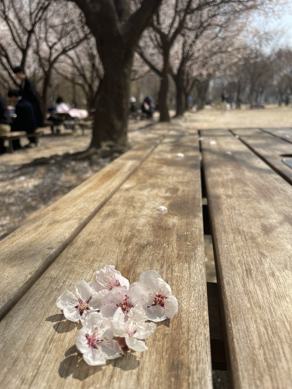  "가구배치의 중요성과 유의사항"