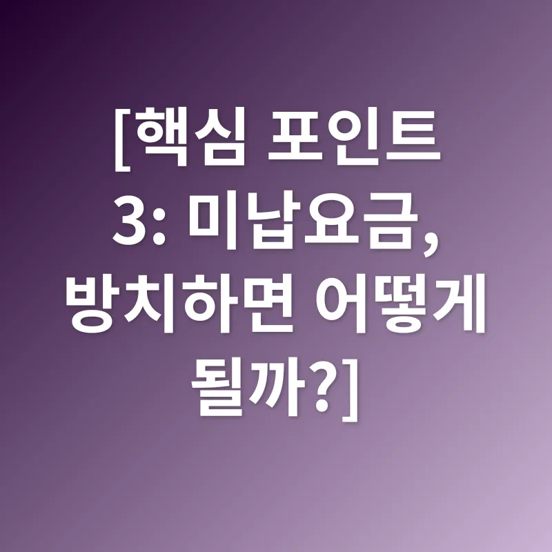 하이패스 미납요금_3