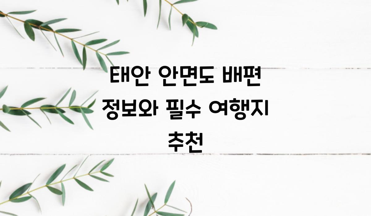 태안 안면도 배편 정보