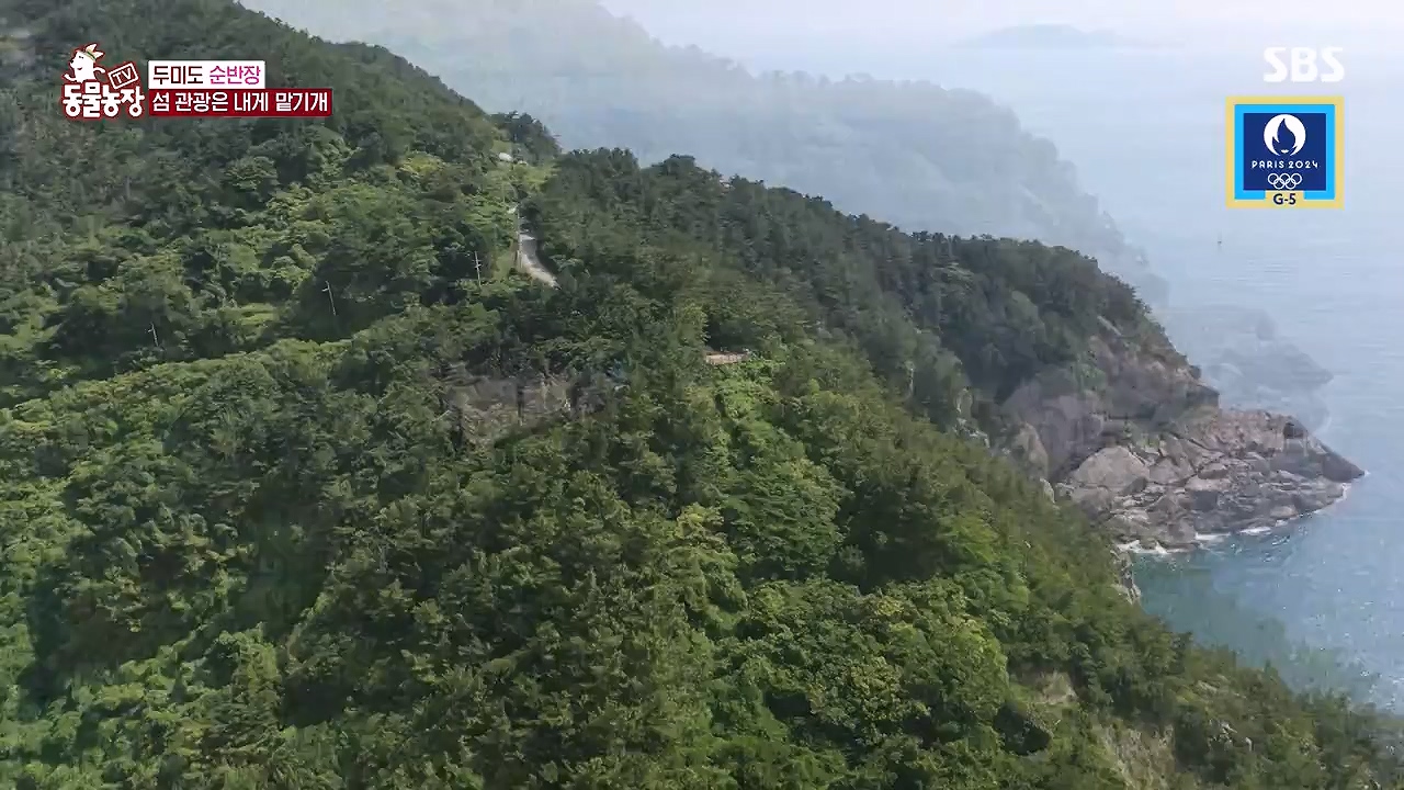 TV 동물농장.E1181.240722p-NEXT.mp4_20240721_165539.596.jpg