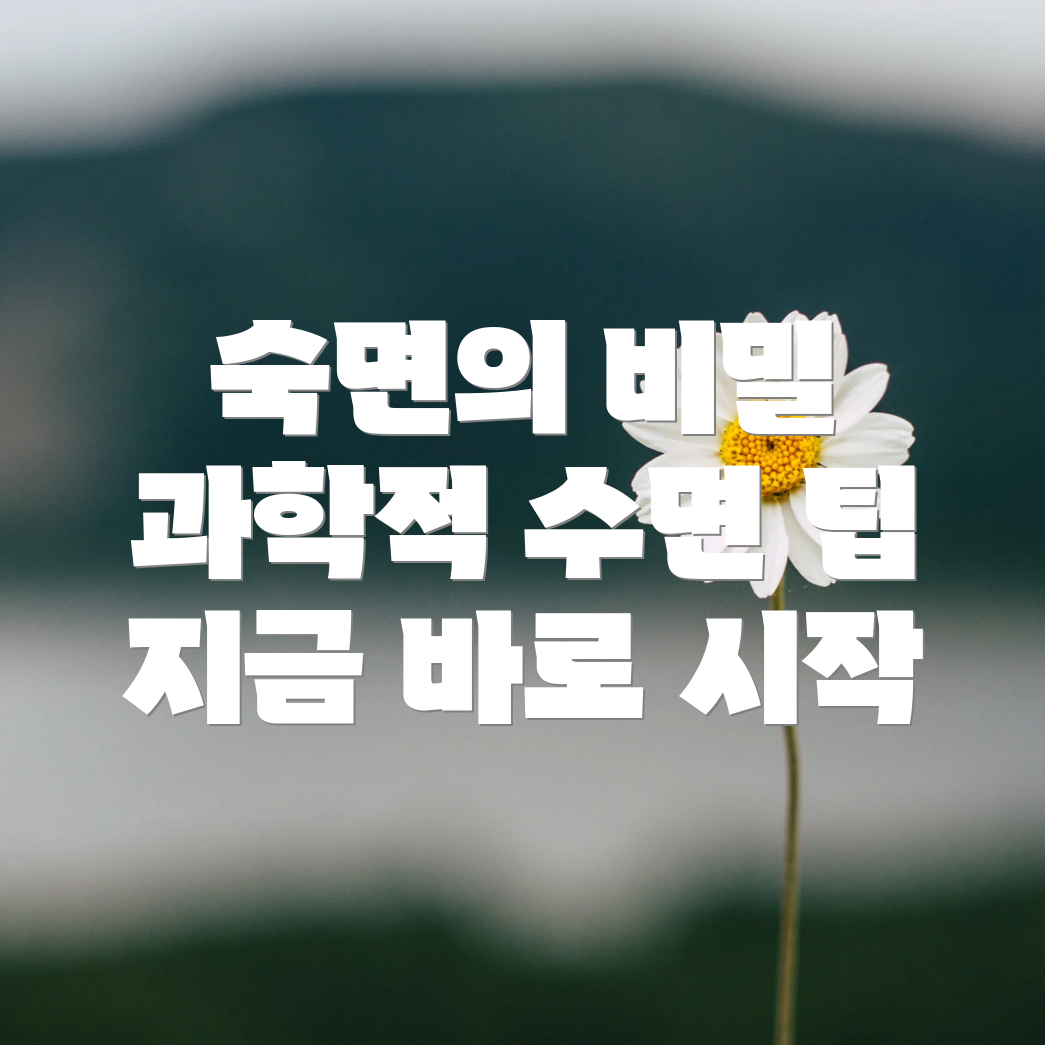 수면의 질 향상