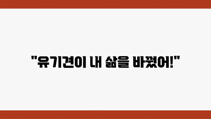 유기견과 함께하는 일상의 행복