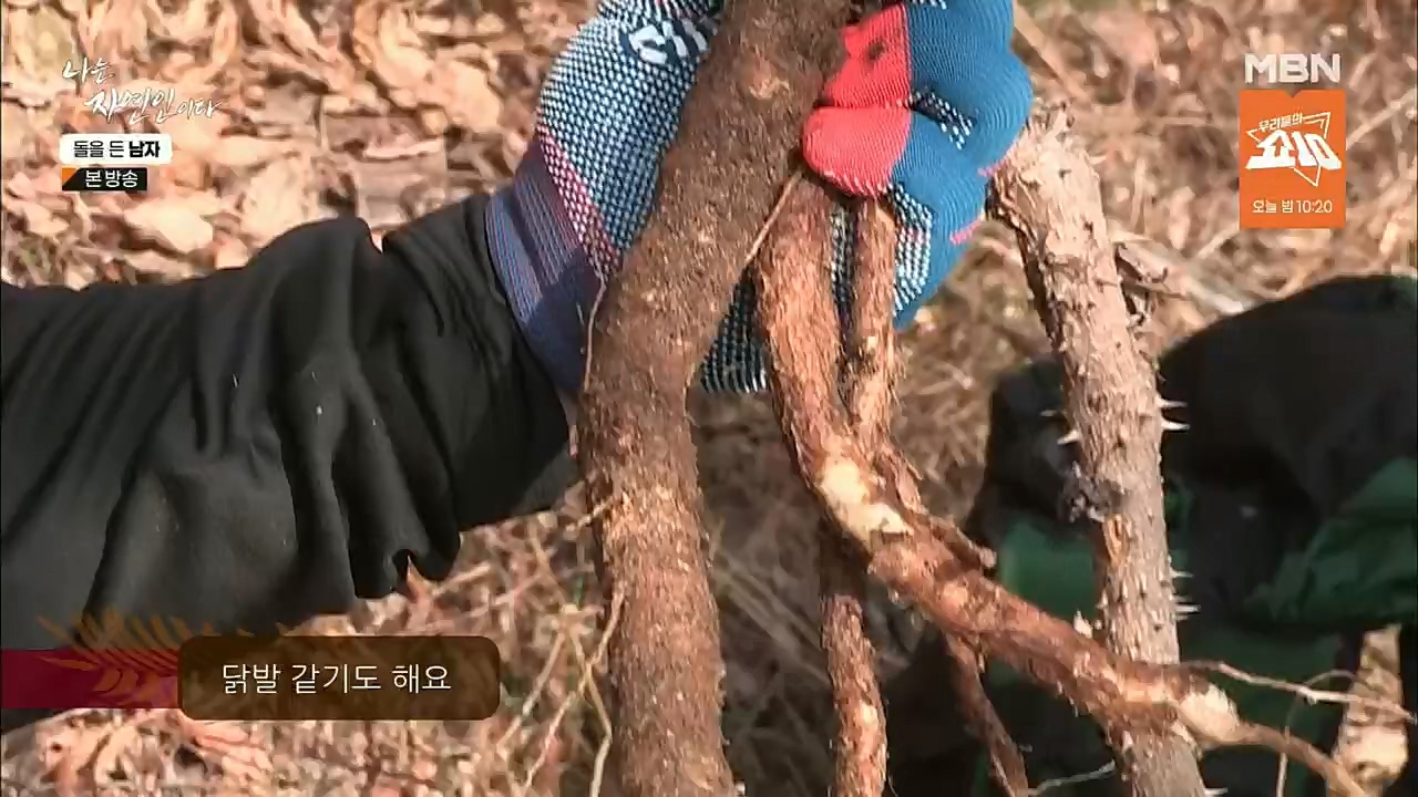 나는 자연인이다.E532.221215p.H264-F1RST.mp4_20221215_194312.549.jpg