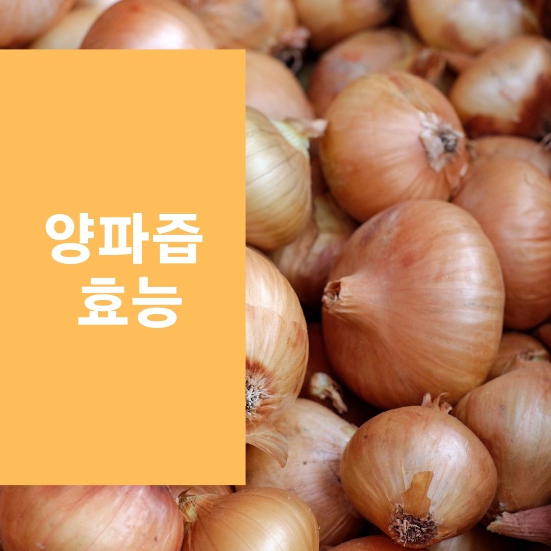  건강에 좋은 양파즙 효능