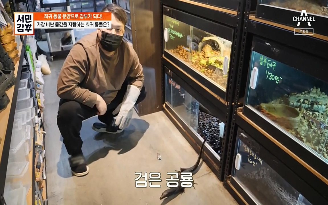 서민 갑부.E381.220431p-NEXT.mp4_20220501_174427.083.jpg