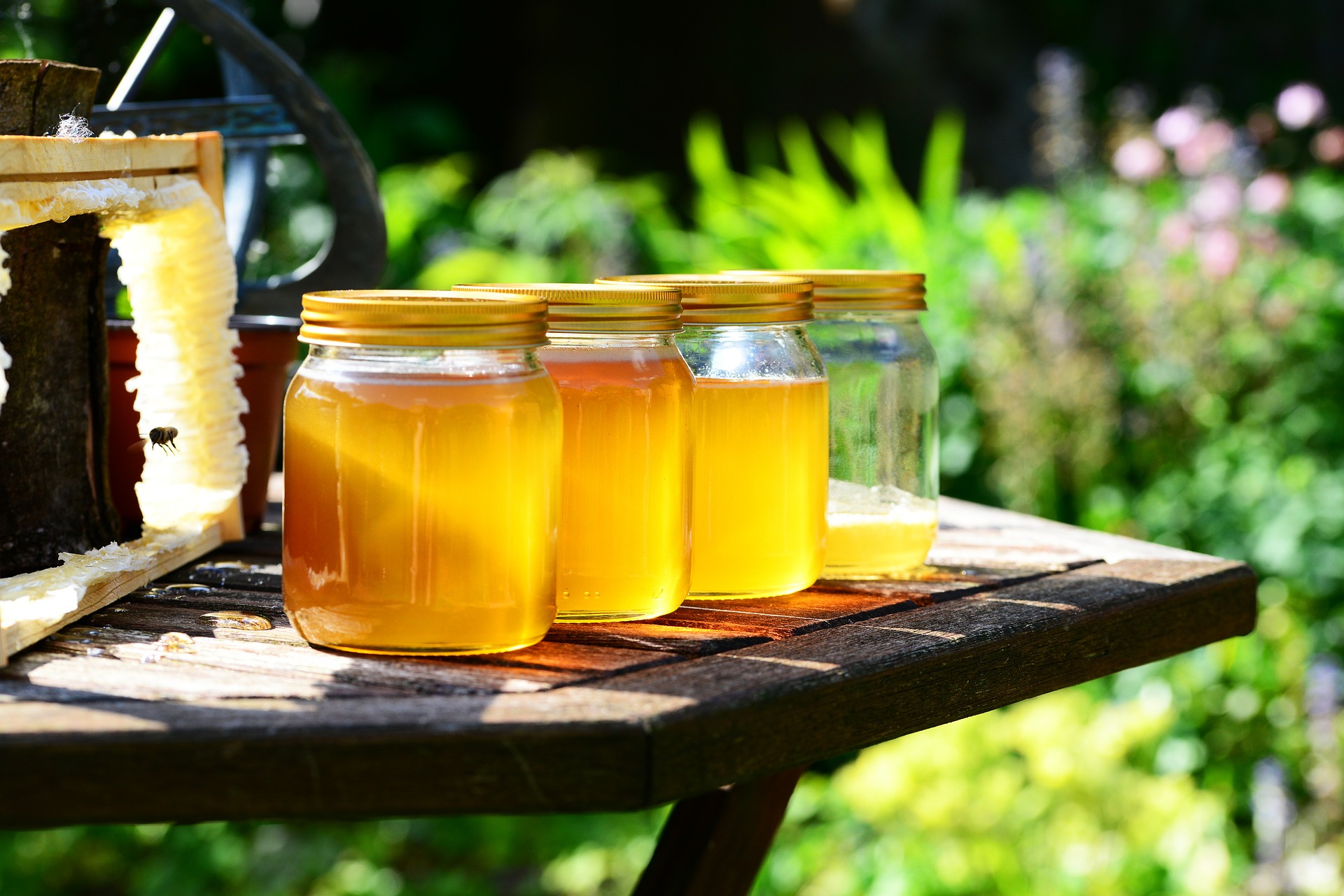 꿀의 효능과 부작용 및 #꿀의 권장 하루섭취량은?