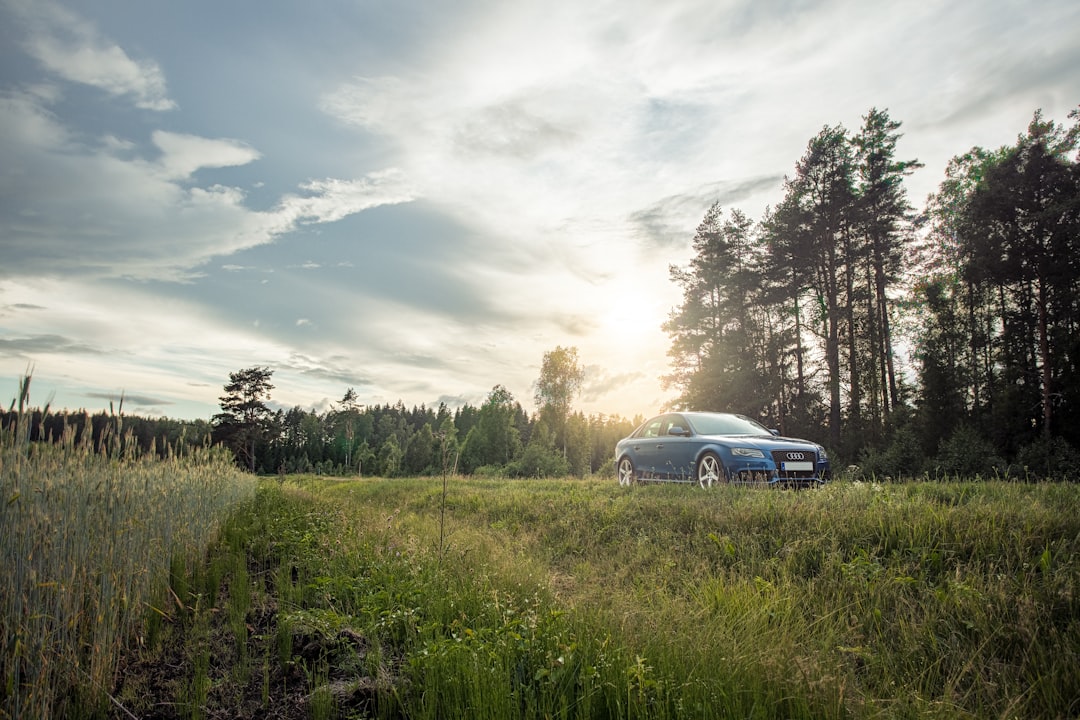 'Used car'