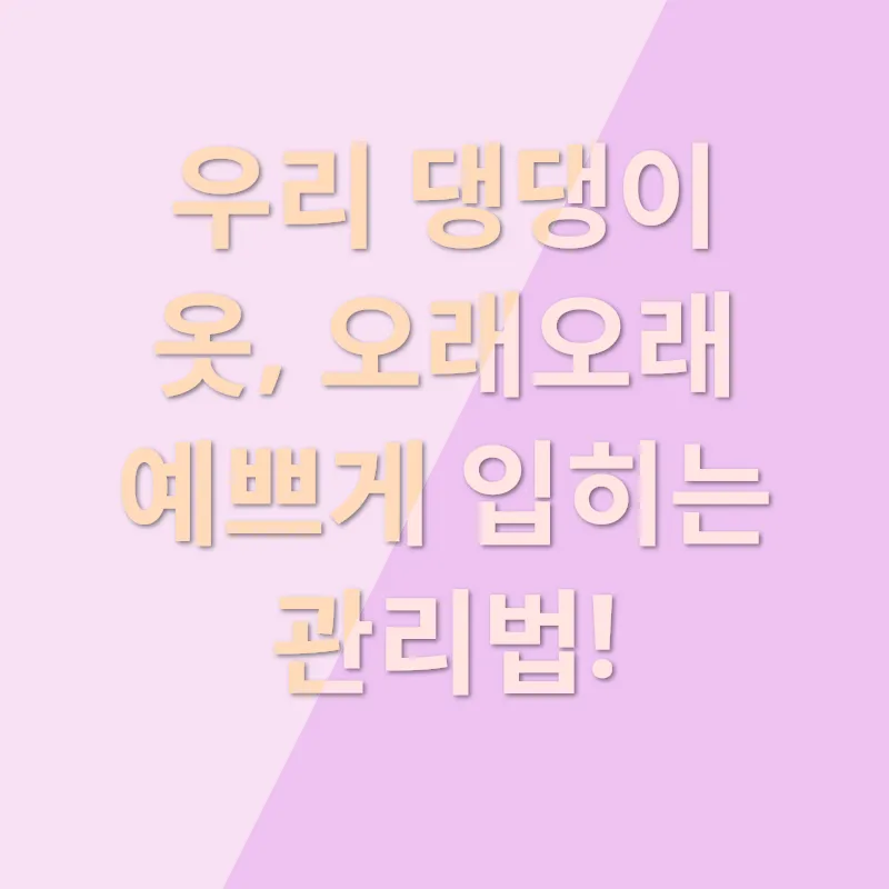 강아지 옷_3