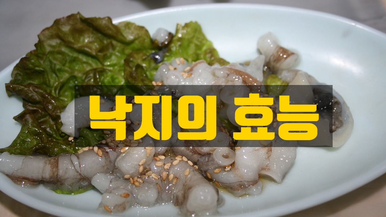  쓰러진 소도 일으켜 세우는 낙지의 효능과 부작용에 대하여