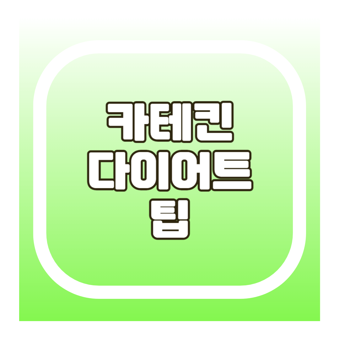 카테킨 다이어트 팁