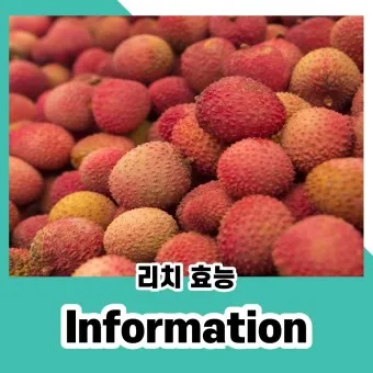 리치 이미지