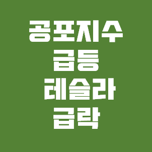  공포지수 급등! 테슬라 급락! 12월 21일 연말 대폭락장?