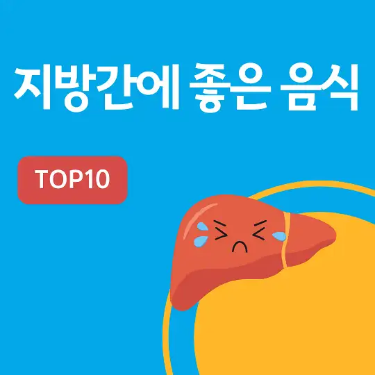지방간에 좋은 음식 TOP10