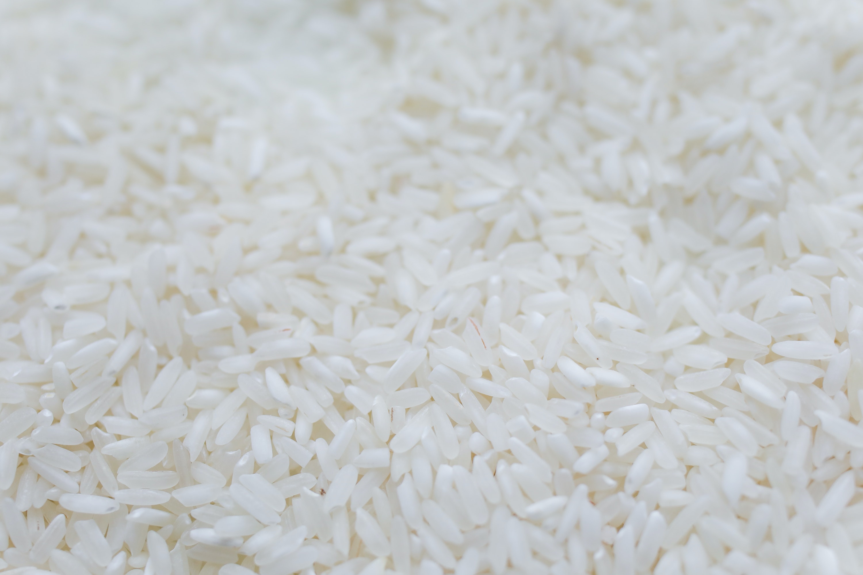 양곡(쌀) 할인된 가격에 구매해요 - 기초수급자&#44; 차상위계층