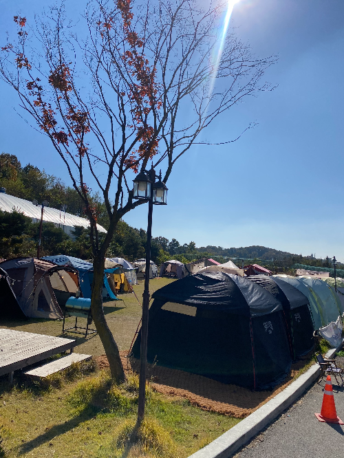 캠핑동