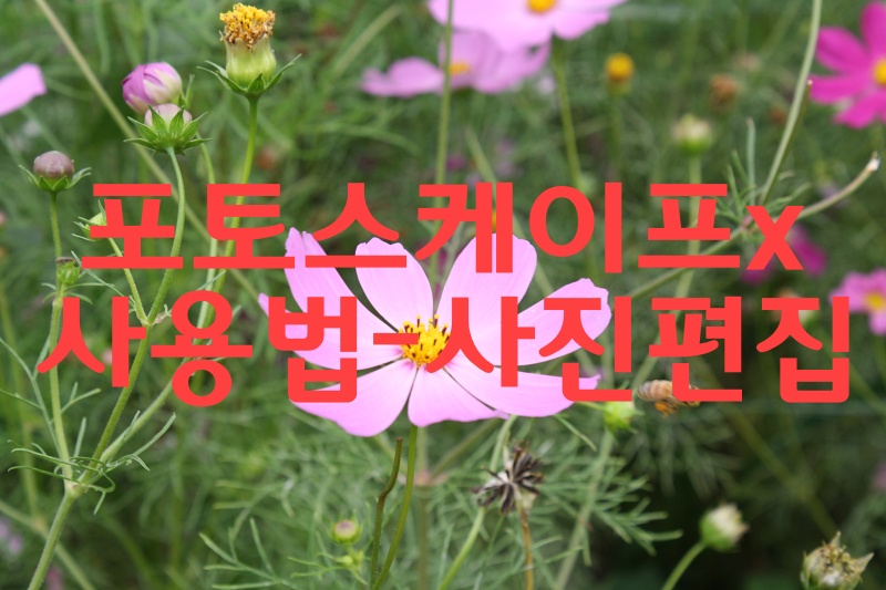  포토스케이프X 사용법(2)-사진편집