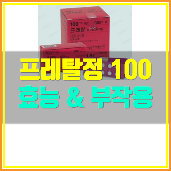  프레탈정 100mg 효능 부작용