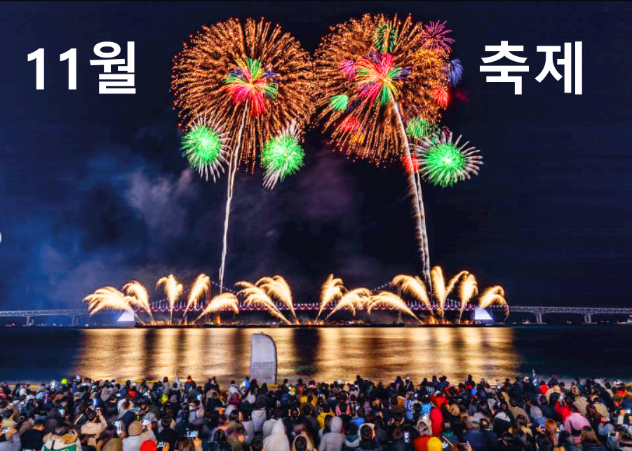 11월 축제