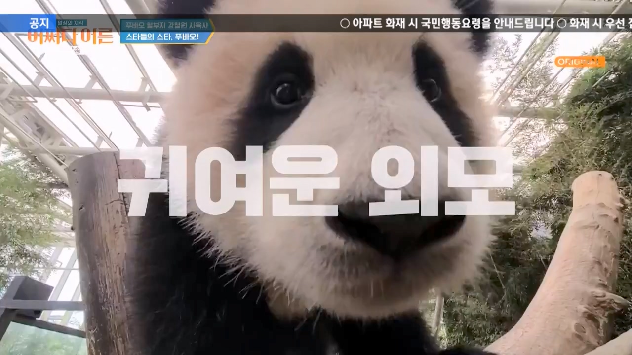 어쩌다 어른.E41.240131p-NEXT.mp4_20240201_203131.375.jpg
