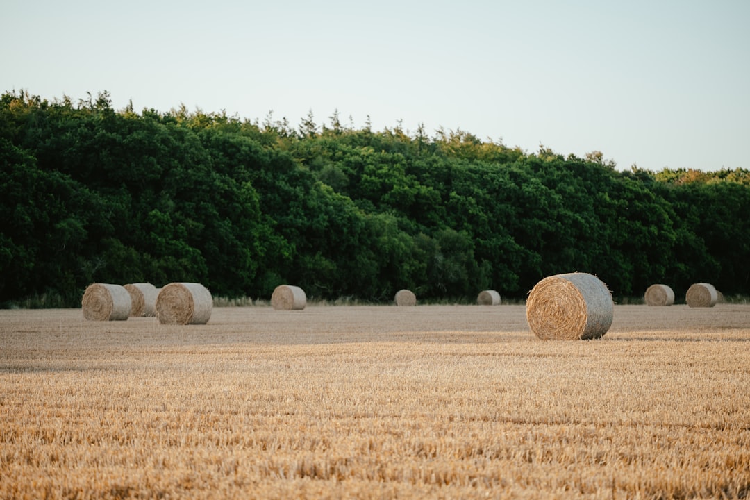 Agricultural