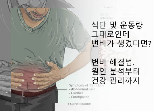  식단 및 운동량 그대로인데 변비가 생겼다면?:  변비 해결법, 원인 분석부터 건강 관리까지