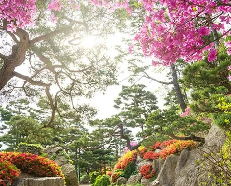 2025 화담숲 예약하기