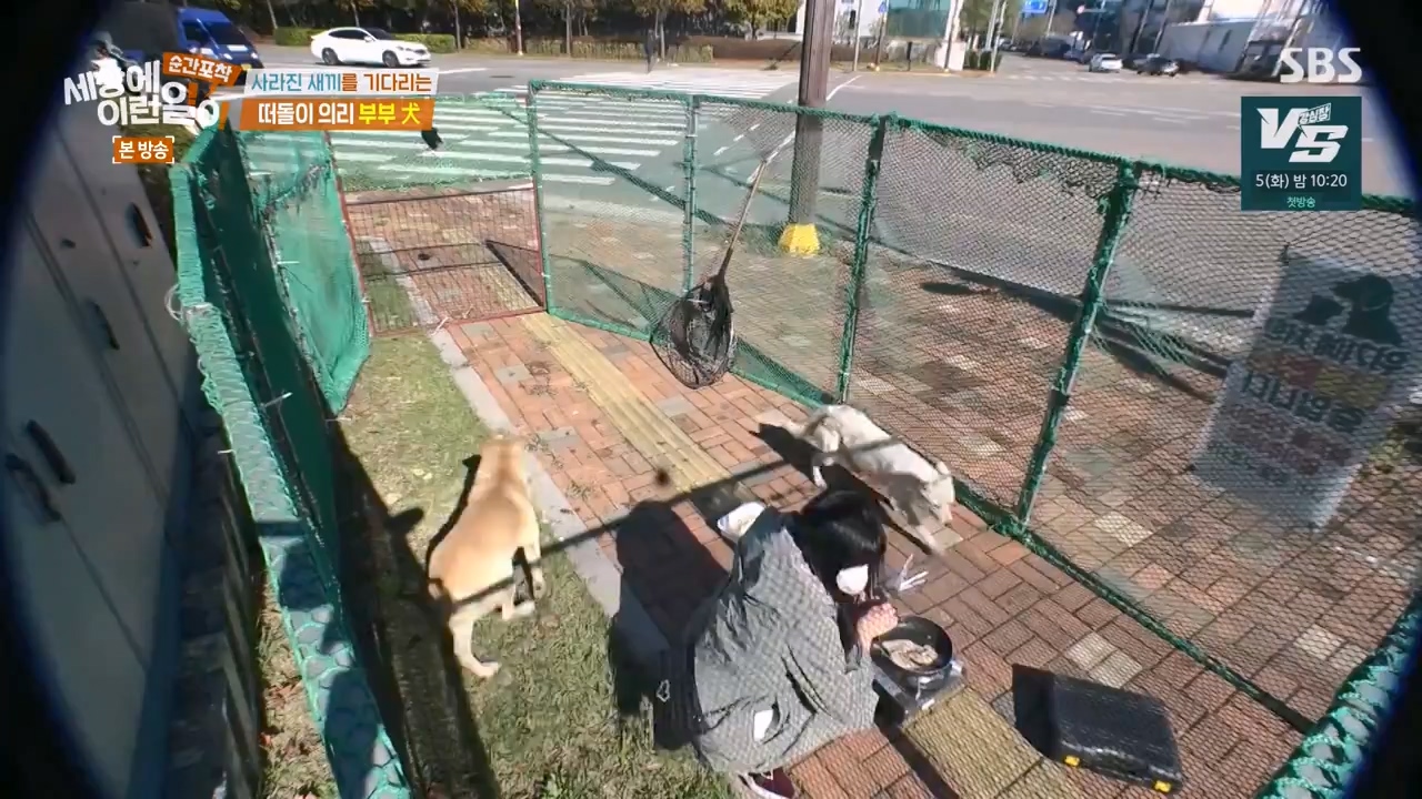순간포착 세상에 이런일이.E1254.231203p-NEXT.mp4_20231203_140543.954.jpg
