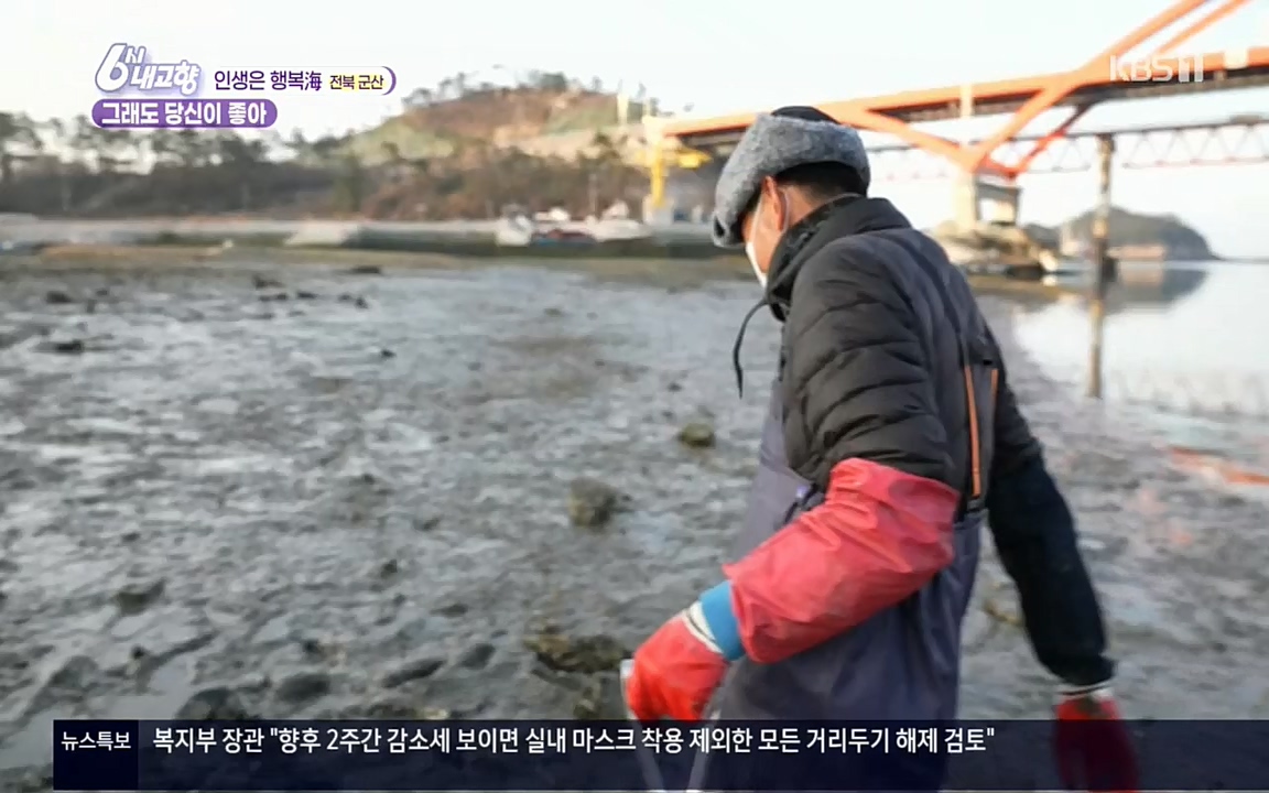 6시 내고향.E7503.220405p.H264-F1RST.mp4_20220405_182928.198.jpg