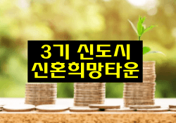  3기 신도시 신혼희망타운의 개요, 입주자격(소득/자산/대출) 선정방식
